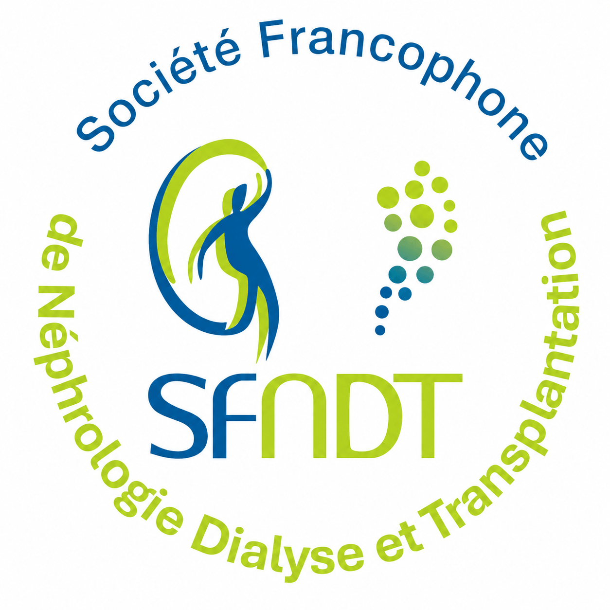 SFNDT